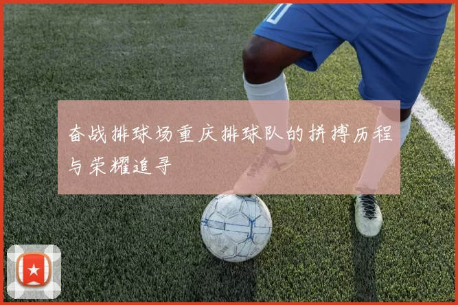 奋战排球场重庆排球队的拼搏历程与荣耀追寻