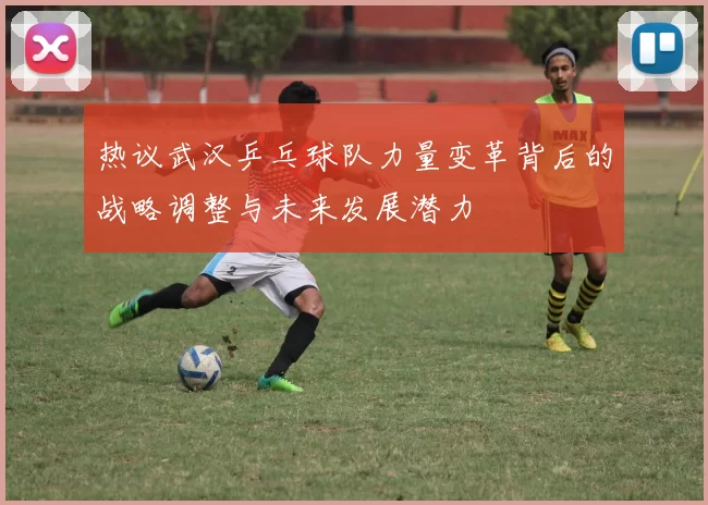 热议武汉乒乓球队力量变革背后的战略调整与未来发展潜力