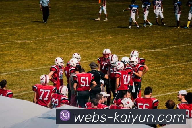 App Interface Preview